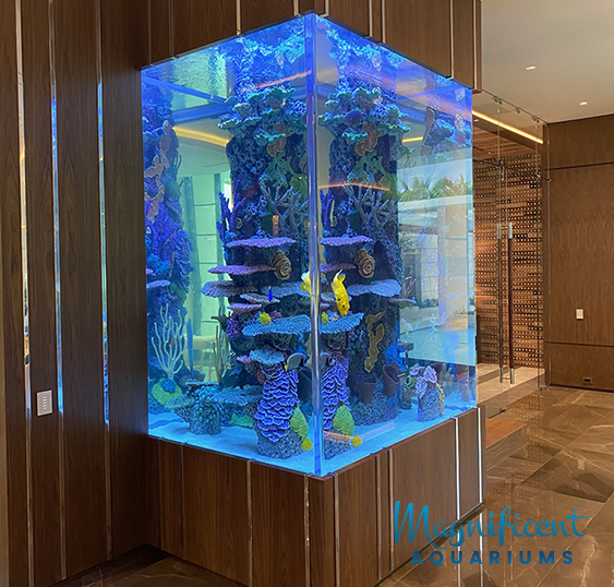 Luxury Aquariums 2022