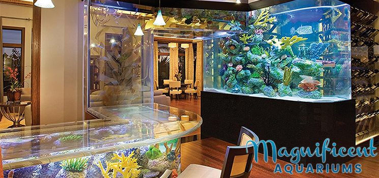 Luxury Home Aquarium