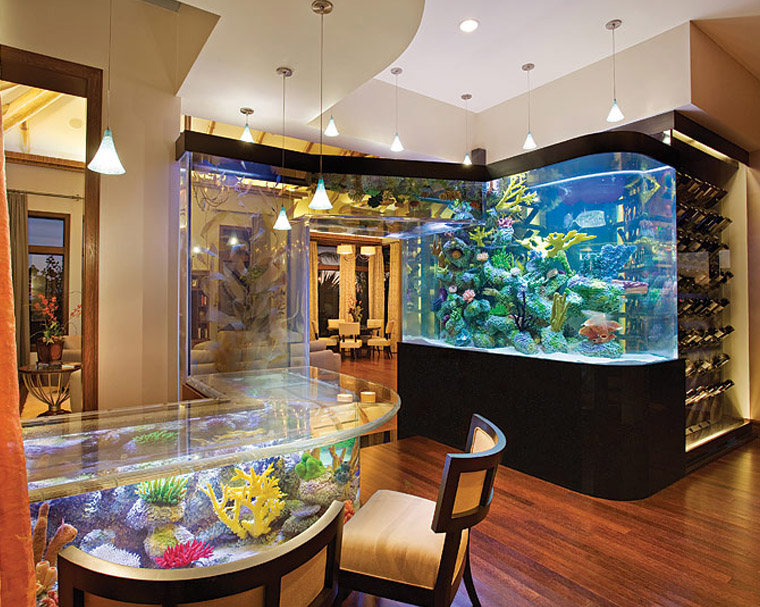 Luxury Custom Aquariums | Fish Tank Maintenance ...