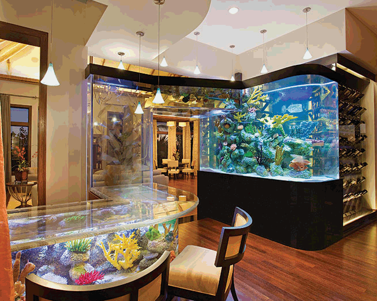 Upscale Restaurant, New York USA - Magnificent AquariumsMagnificent Aquariums