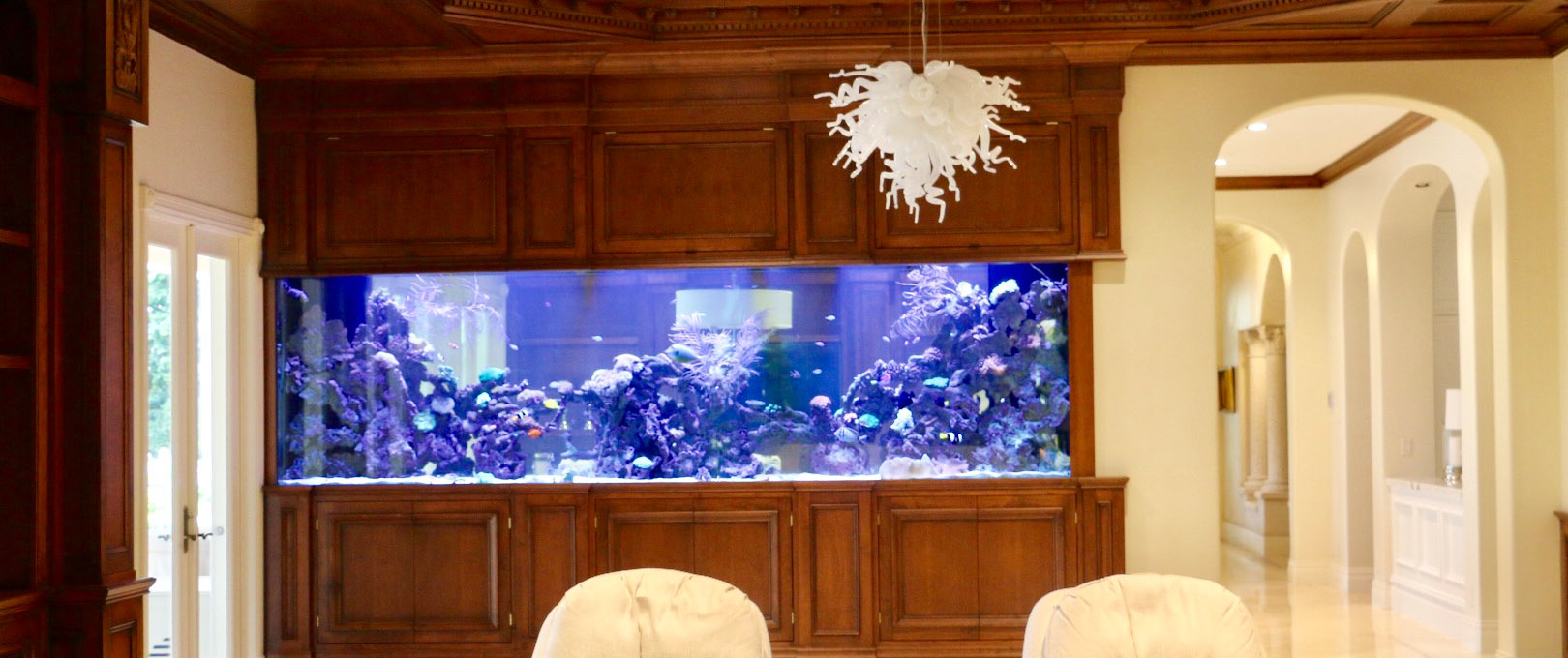 Luxury Custom Aquariums | Fish Tank Maintenance ServiceMagnificent ...