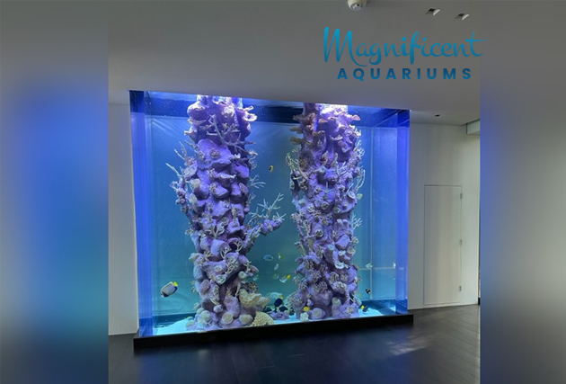 Custom Aquarium Designs