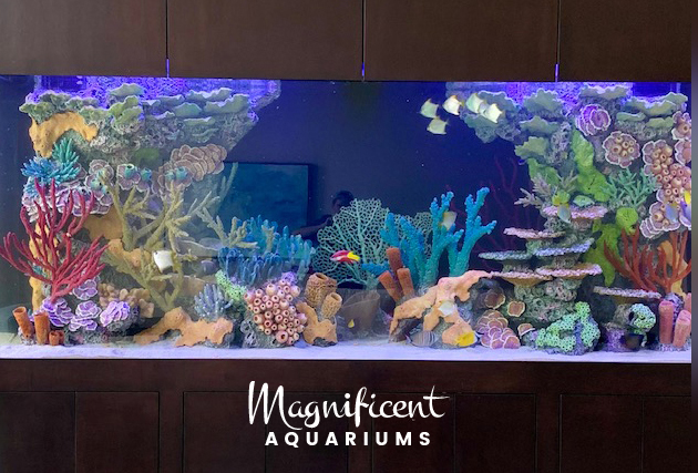 Luxury Home Aquarium