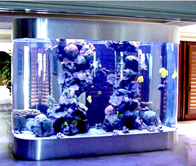 Florida Keys Revised Aquarium for FordIMG_4461-2