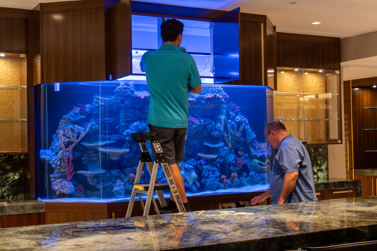 Custom Design – Magnificent Aquariums